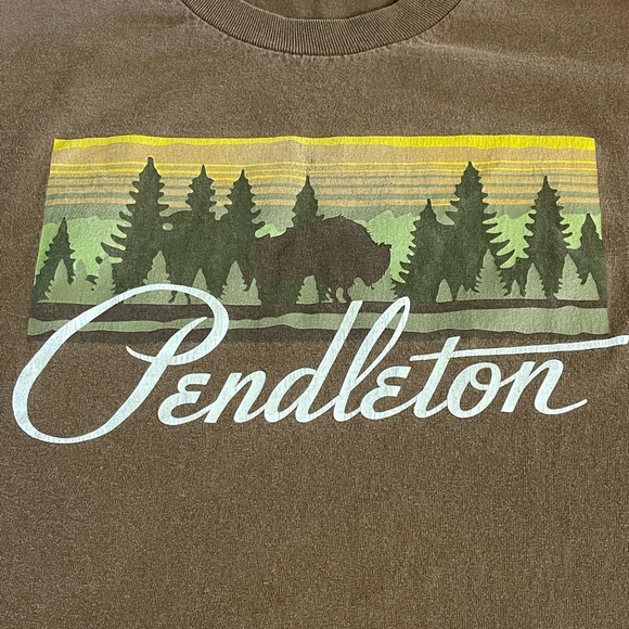 PENDELTON t~ shirt, medium - Picture 3 of 3